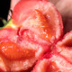  农家自产 山东普罗旺斯西红柿，酸甜可口
