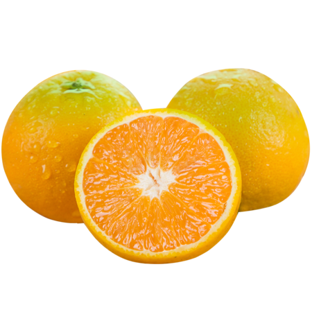 农家自产 湖北秭归脐橙，现摘新鲜夏橙，榨汁橙图片
