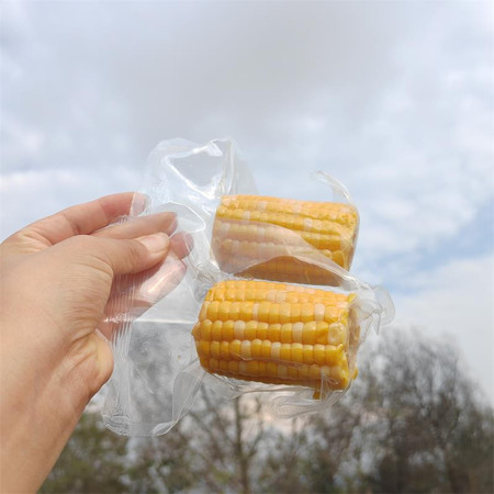 农家自产 云南水果玉米，嫩玉米香甜多汁，玉米独立包装图片