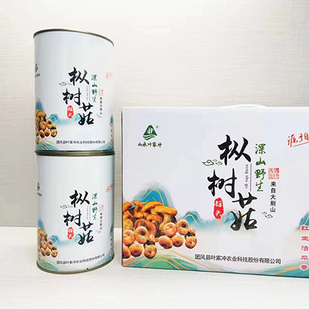 山水叶家冲 枞树菇罐头2kg/件图片