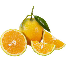【夏橙试吃】鑫勇泰优选 秭归夏橙榨汁首选新鲜应季鲜橙子精品5斤大果