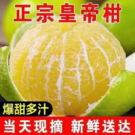 农家自产 新鲜广西皇帝柑现摘现发