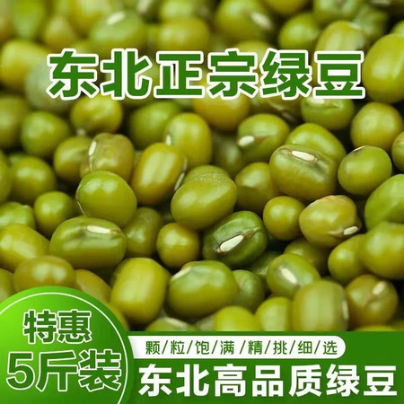 【东北绿豆】精品绿豆农家小绿豆500g真空装粗粮五谷杂粮易煮新货绿豆糕饼绿豆汤材料新鲜豆芽清热解暑图片