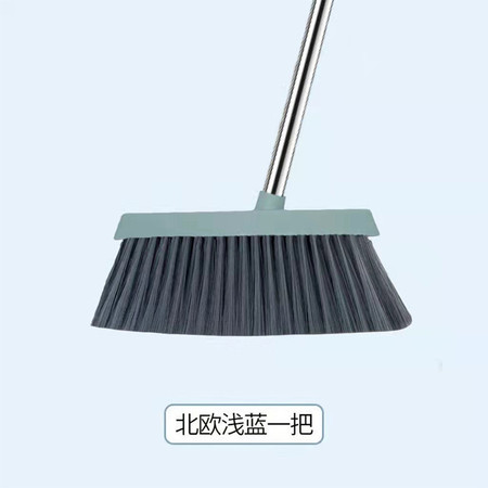 洛港 加长家用长柄单个扫把扫水扫灰尘结实耐用扫帚/个图片