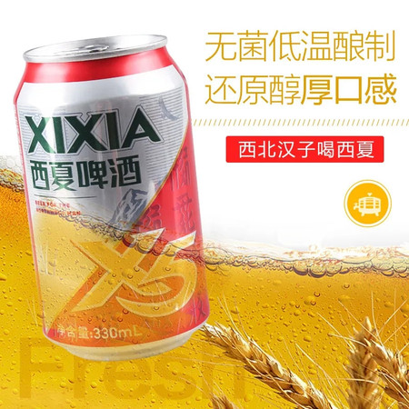 西夏X5啤酒330ml*12瓶装听装啤酒宁夏啤酒西北汉子啤酒【真源】图片