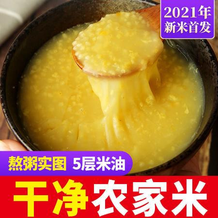 小虎雀  黄小米山西小米农家宝宝月子五谷杂粮油黄小米熬粥