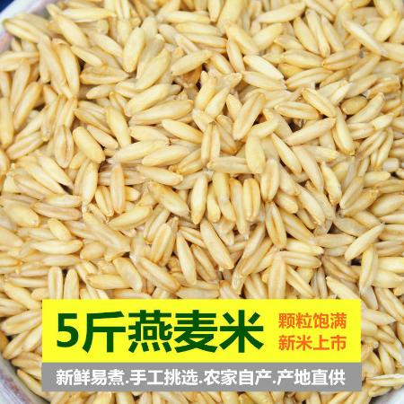 小虎雀 新货燕麦米5斤农家自种燕麦仁荞麦米全胚芽燕麦五谷杂粮粗粮1斤图片