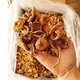谷耘滇 东北新货滑子菇干货袋装小黄蘑香菇类顺滑无熏硫