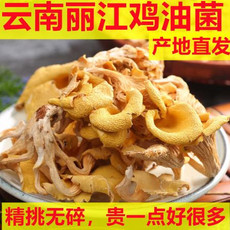 春之言 云南鸡油菌干货黄金菇榆黄菇香菇云南土特产100g野生黄丝菌煮汤