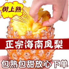爆甜爆汁10斤金钻凤梨新鲜水果手撕无眼凤梨1/5/8斤海南菠萝整箱