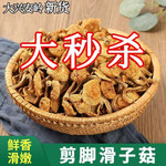 谷耘滇 东北新货滑子菇干货袋装小黄蘑香菇类顺滑无熏硫