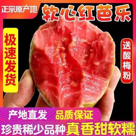 【精品】广西软心红心番石榴新鲜水果香软芭乐红软糯鸡屎果包邮图片