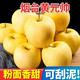 小虎雀 黄元帅苹果新鲜水果黄香蕉平果奶油金帅金冠萍果3/5/10斤批发