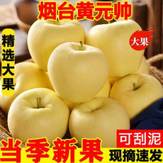 小虎雀 黄元帅苹果新鲜水果黄香蕉平果奶油金帅金冠萍果3/5/10斤批发