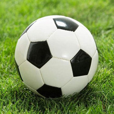 【学校指定校园足球】中小学生训练足球2号儿童45号成人比赛足球