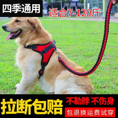 胸背带背心式宠物用品狗狗牵引绳中型小型犬遛狗绳子柯基泰迪狗链图片