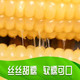 龙觇 东北白糯玉米甜糯粘玉米棒真空装包非转基因新鲜粗粮代餐即食玉米