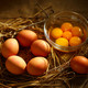 正大/CP 半年鸡蛋卡正大鲜鸡蛋早餐蛋营养 鲜鸡蛋1.59kg/盒*6次 1.59kg/盒*每月一发*6次