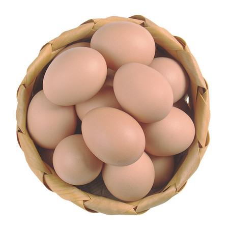 农家自产 新鲜农家土鸡蛋十枚现捡现发破损包赔健康喂养10枚