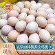 农家自产 鲜鸡蛋20枚【精品大蛋】