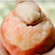 农家自产 【助农】【基地农产品】新鲜水蜜桃(约5-6斤)