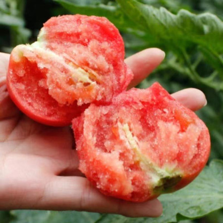 山水人家 普罗旺斯西红柿（5斤）图片