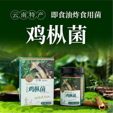 丛山 云南高原特产精品油鸡纵菌瓶装350g