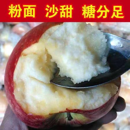 【粉面沙甜】陕西秦冠苹果水果粉面沙甜老人宝宝刮泥新鲜水果图片