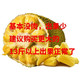 海南菠萝蜜一整个新鲜水果当季三亚黄肉木波罗蜜批发整箱包邮