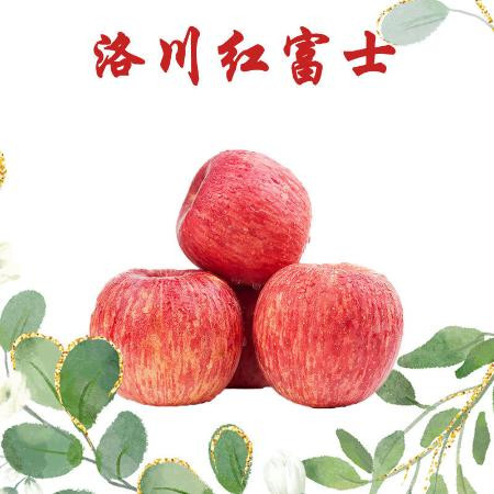 【顺丰包邮】王掌柜陕西洛川苹果红富士水果新鲜10/5斤礼盒图片