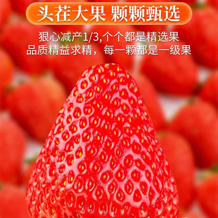  解府 丹东九九牛奶草莓2斤装新鲜采摘图片