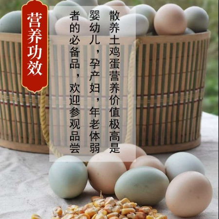玉露河谷 农家散养土鸡蛋30枚
