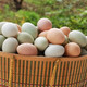 玉露河谷 农家散养土鸡蛋30枚