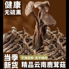 锋瑞 精选鹿茸菇干货特级新货无硫鹿茸菇新鲜美味250g-郏县菌菇