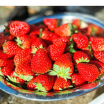 农家自产  青浦特色农产品：白鹤红颜草莓，头茬精品，单果18-23克