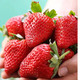 农家自产  青浦特色农产品：白鹤红颜草莓，头茬精品，单果18-23克