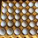 农家自产 【会员享实惠】绿壳鸡蛋 30枚装