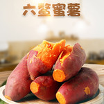 粤迎【领劵减5元】新鲜蜜薯糖心红蜜薯板栗味香糯烤地瓜3/5/9斤