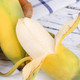 粤迎【领劵减5元】广西小米蕉新鲜水果甜糯青香蕉1/3/5/9斤