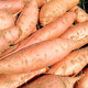 粤迎 【领劵减5元】山东烟薯烤地瓜新鲜杂粮蔬菜番薯蜜薯红薯