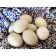 【临海】农家自产鸭蛋30个/箱