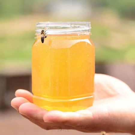 农家自产 屏山蜂蜜500g