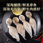 邮政农品 【山东邮政年货节】三去小章鱼3袋装 去牙去内脏去粘液