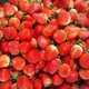 农家自产  标准村丰收乡 丰年村 绿色水果 草莓