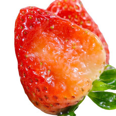农家自产 标准村同乐乡 同发村 绿色水果 草莓