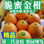 农家自产 脆蜜金桔5斤