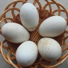 农家自产 标准村绥中乡五庄村马年复食杂店农家鸭蛋