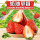 泰初源 【顺丰包邮】草莓新鲜奶油草莓红颜草莓冬草莓应季水果孕妇水果