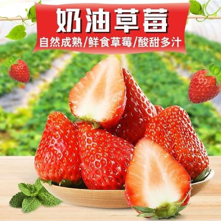 泰初源 【顺丰包邮】草莓新鲜奶油草莓红颜草莓冬草莓应季水果孕妇水果图片