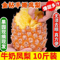 爆甜爆汁10斤海南金钻凤梨新鲜水果手撕无眼凤梨1/5/8斤菠萝整箱